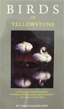 Birds of Yellowstone